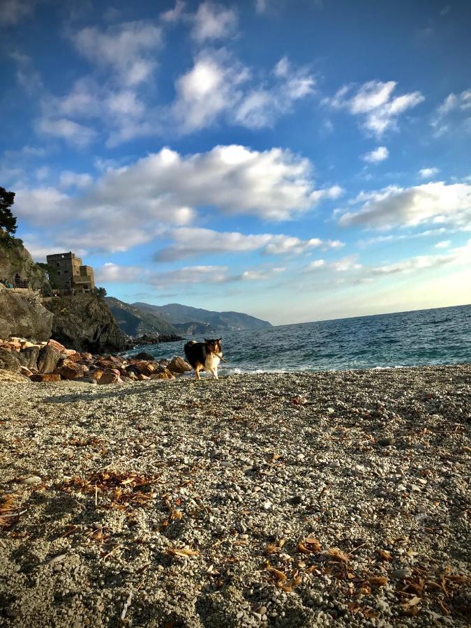 Ca Lea Beach House モンテロッソ・アル・マーレ エクステリア 写真